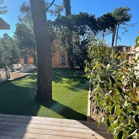 Maison Avec Piscine, Sud *